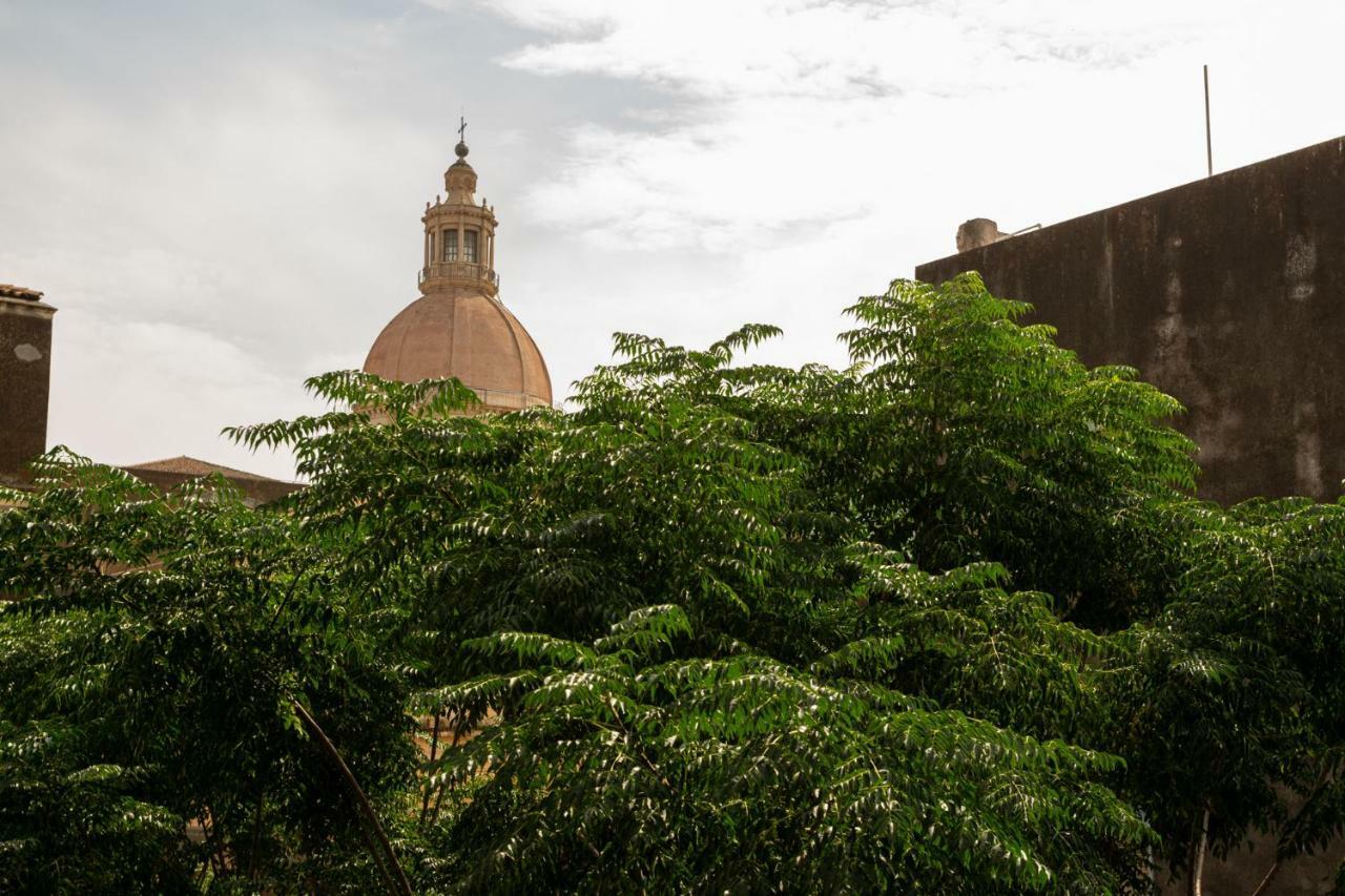 Casadellidria *